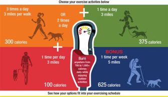 How Much Exercise Does A Dog Need?