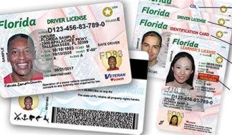 How Much Is An Exotic License In Florida?