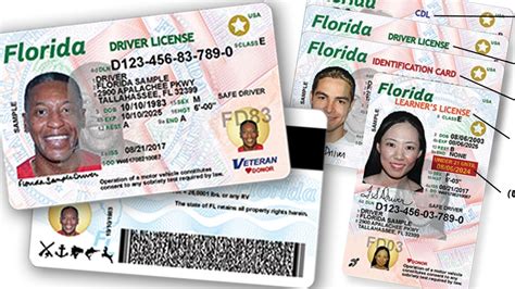 How much is an exotic license in Florida?