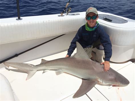 How Much Is Shark Fishing In Florida?