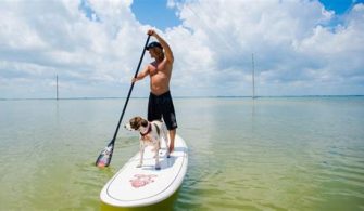 How Tiring Is Paddle Boarding?