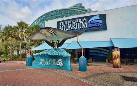 How to get into The Florida Aquarium for free?