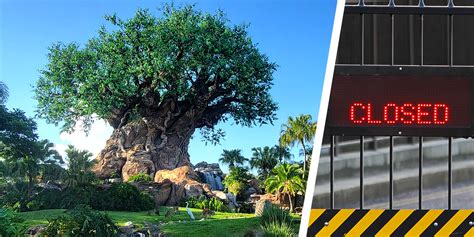 Is Animal Kingdom Disney closing in 2024?