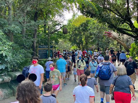 Is Animal Kingdom less crowded?