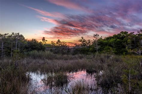 Is Everglades National Park worth going to?