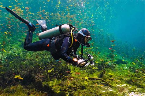 Is Florida Good For Scuba Diving?