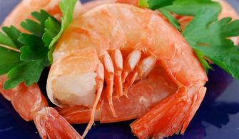 Is Florida Known For Shrimp?