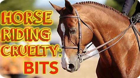 Is Horse Riding Painful For Horse?