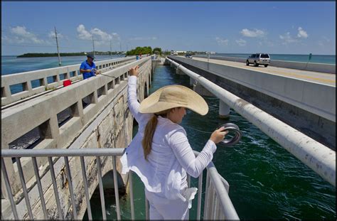 Is it illegal to fish while driving across a bridge in Florida?