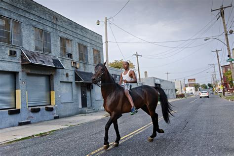 Is It Legal To Ride A Horse On The Street In Florida?