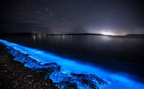 Is It Legal To Swim In The Ocean At Night In Florida?