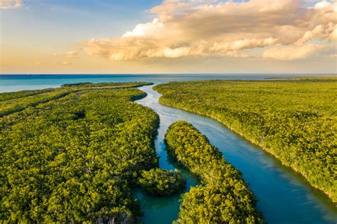 Is it worth going to the Everglades in Florida?