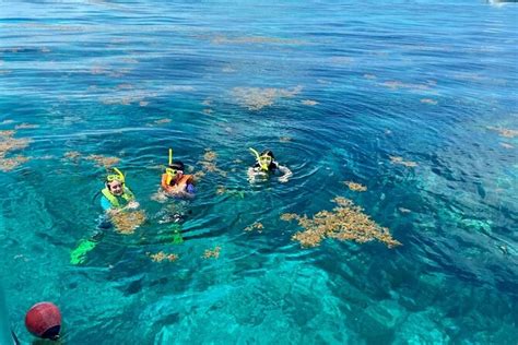 Is Key Largo Or Islamorada Better For Snorkeling?