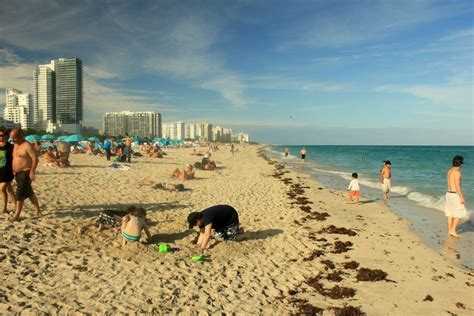 Is Miami Beach safe to walk?