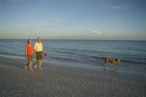 Is Sanibel beach dog friendly?