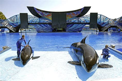 Is SEA LIFE and SeaWorld the same?