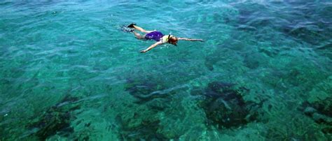 Is Snorkeling Biscayne Worth It?