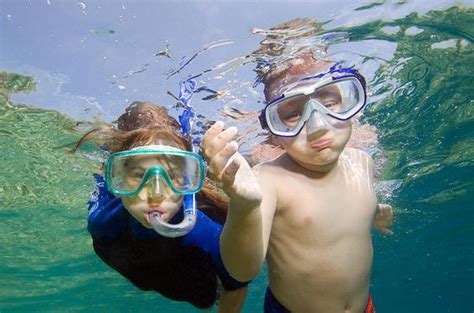 Is snorkeling good at Shell Key?