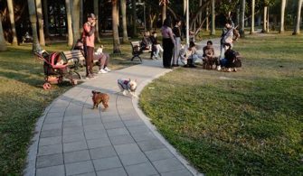 Is Taking Your Dog To The Dog Park Everyday Bad?