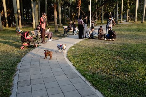 Is taking your dog to the dog park everyday bad?