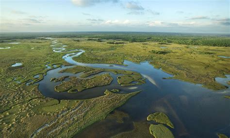 Is the Florida Everglades fresh or saltwater?