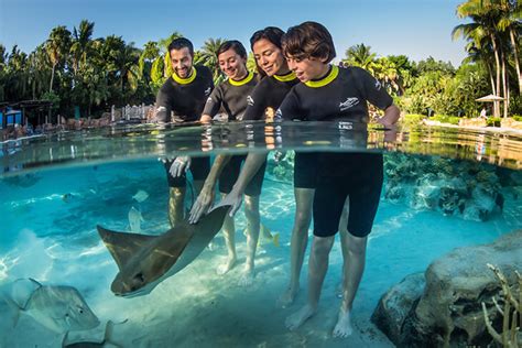 Is The Photo Package At Discovery Cove Worth It?