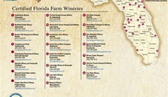 Is There Wine Country In Florida?