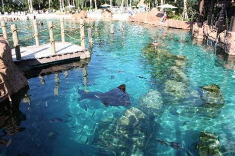 Is Water Heated At Discovery Cove?