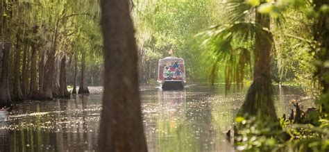 Was Orlando Originally A Swamp?