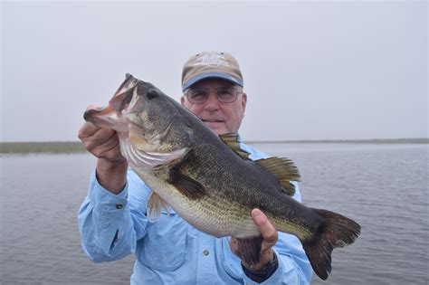 What are bass biting right now in Florida?