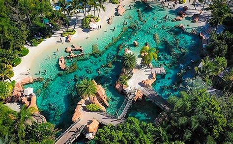 What Are Busiest Days For Discovery Cove?