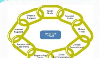 What Are The 3 Fundamental Needs Of An Effective Team?