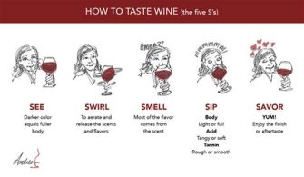 What Are The 5 Tips For Wine Tasting?