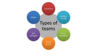 What Are The 6 Major Types Of Team Building?