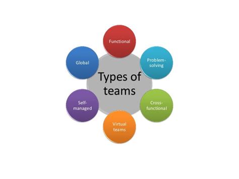 What Are The 6 Major Types Of Team Building?