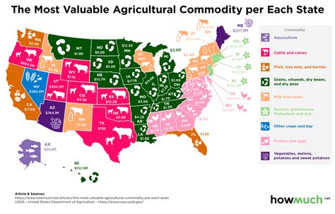 What are the top 3 agricultural products in US?