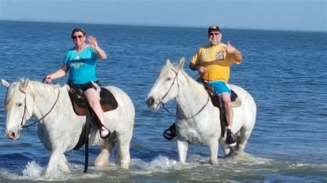 What Beaches In Florida Allow Horses?