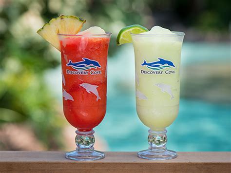 What Beer Is Included At Discovery Cove?