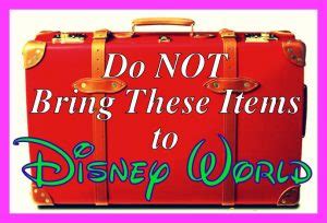 What can I not bring into Disney?