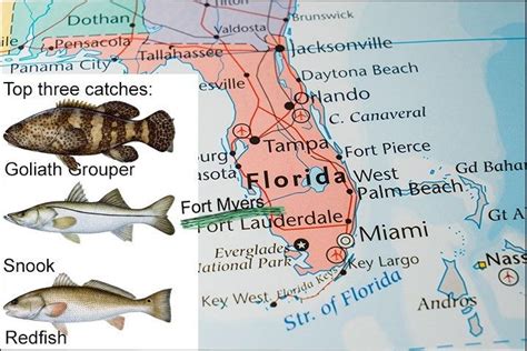 What City In Florida Has The Best Fishing?