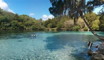 What City In Florida Is Known For National Forest?