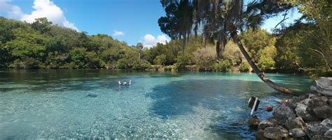 What city in Florida is known for national forest?