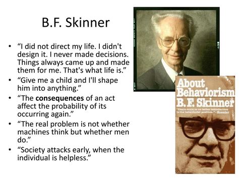 What Did BF Skinner Do?