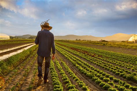 What Do Farmers Do Every Day?