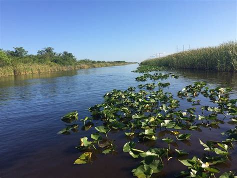 What Do I Need To Know Before Going To The Everglades?