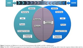 What Does Asd Show Stand For?