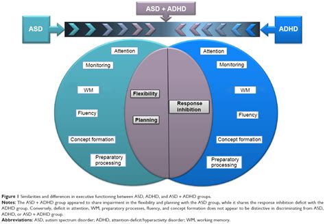 What Does Asd Show Stand For?