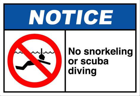 What etiquette is not allowed when snorkeling?