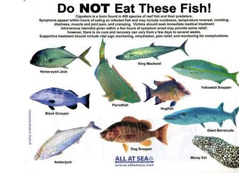 What fish can you not eat in Florida?