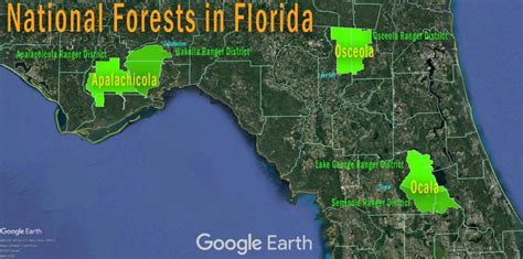 What Florida city has a national forest?